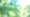 15 Years of FireOak: Reflections, Lessons Learned, and Why I Still Love This Work