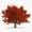 About FireOak Strategies
