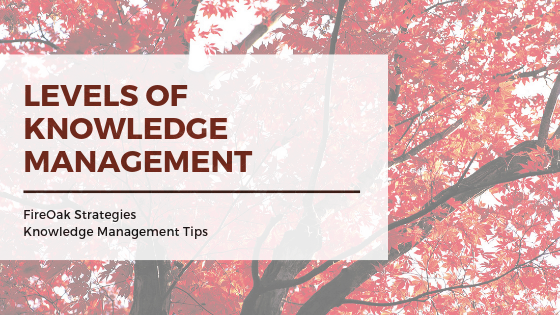 Levels of Knowledge Management