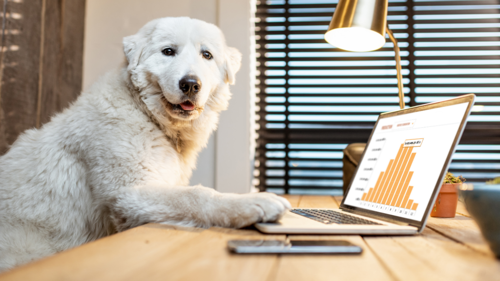 Dog at computer